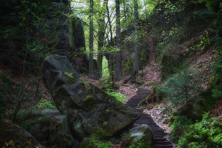 A small stairway is going up the hillの写真素材