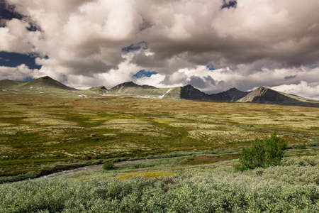 Rondane national park with mountains