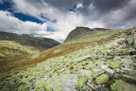 Rondane national park with mountainsの写真素材