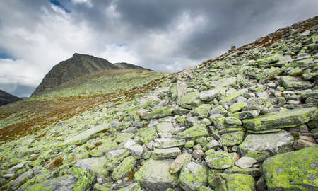 Rondane national park with mountainsの写真素材