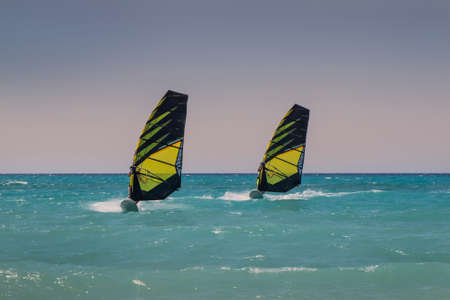 Two windsurfers ride parallel to sea, with similar sails.の写真素材