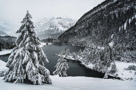 Derborence, Valais, Switzerlandの写真素材