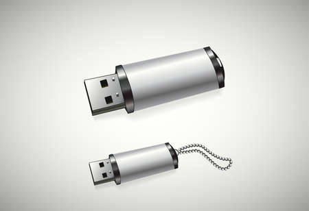 two usb disks in a white backgroundのイラスト素材