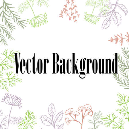 Vector background with hand drawn herbs and spices Organic and fresh spices illustration.のイラスト素材