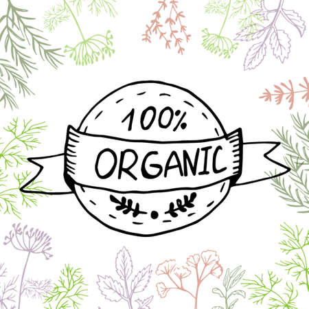 Vector background with hand drawn herbs and spices Organic and fresh spices illustration.のイラスト素材
