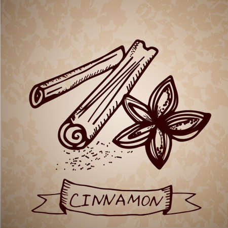 Hand drawn  cinnamon sticks on a grange backgroundのイラスト素材