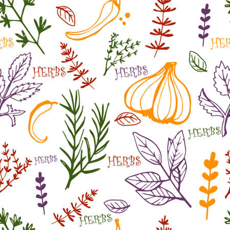 Seamless vintage pattern with ink hand drawn  herbs and plants sketchのイラスト素材