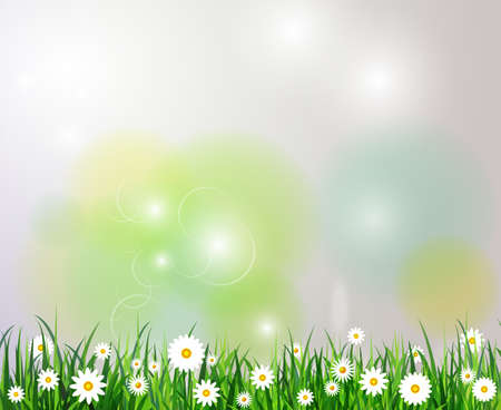 Green grass spring background on a bokeh background with white flowersのイラスト素材