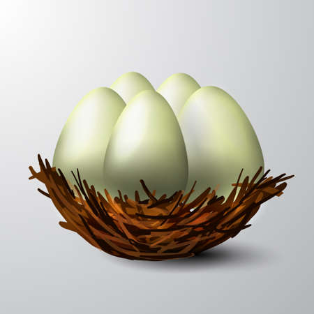 white nest isolated on a white backgroundのイラスト素材