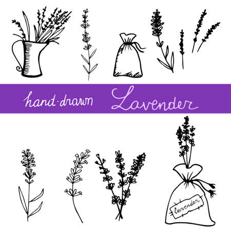Hand drawn lavander set monochrome on light backgroundのイラスト素材