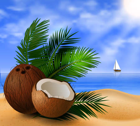 Coconut tropical nut fruit with cut vector illustration on a beach  background with tropical palm leaves and a boatのイラスト素材