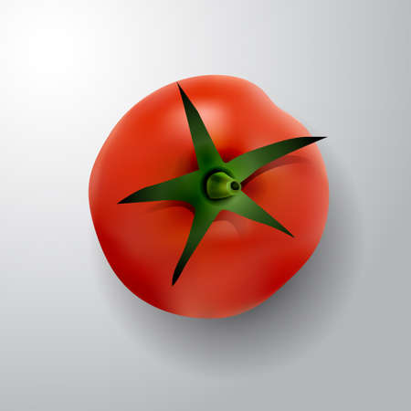 tomato with rootlet top side illustration isolated on white backgroundのイラスト素材