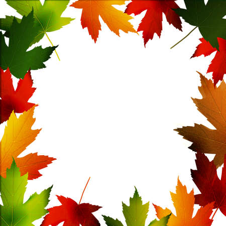 Clip-art frame from fallen leaves isolated on whiteのイラスト素材