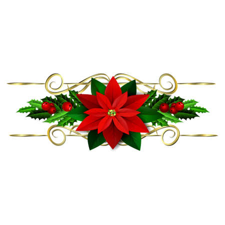 Christmas decoration with evergreen treess holly and berries and poinsettia isolatedのイラスト素材