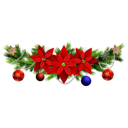 Christmas decoration with evergreen treess holly and poinsettia isolatedのイラスト素材