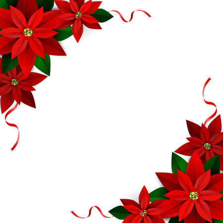 Christmas decoration on white Poinsettia with ribbons Vectorのイラスト素材