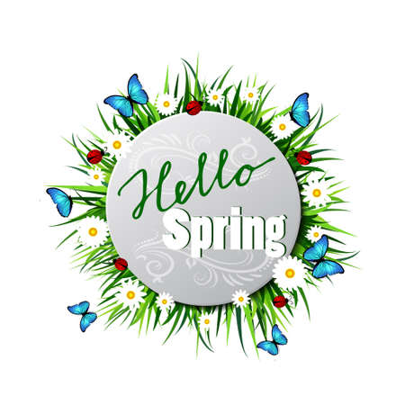 paper circle on a lawnのイラスト素材