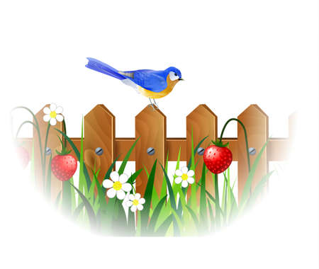 Spring blue birdのイラスト素材