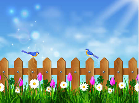 Green grass lawn with sunrise on blue skyのイラスト素材