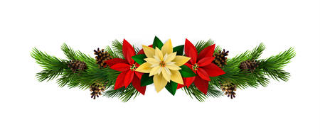 Christmas decoration with evergreen treess pine cones and poinsettia isolated vectorのイラスト素材