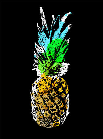 Vector Single Sketch Pineappleのイラスト素材
