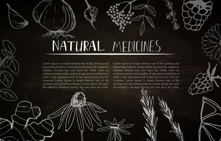 Herbs and medicinal plants collection. Vector hand drawn isolated objects on white background.のイラスト素材