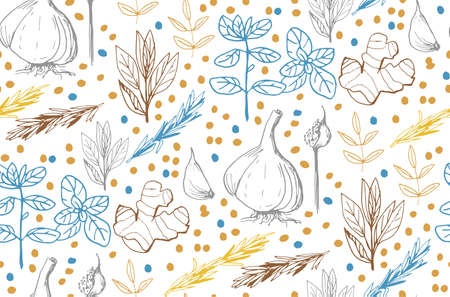 Herbs and medicinal plants seamless pattern Vector hand drawn objects