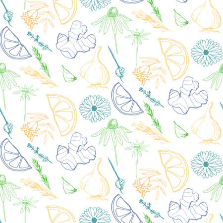 Herbs and medicinal plants seamless patternのイラスト素材