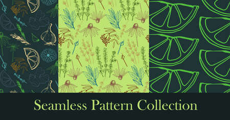 Herbs and medicinal plants seamless patternsのイラスト素材
