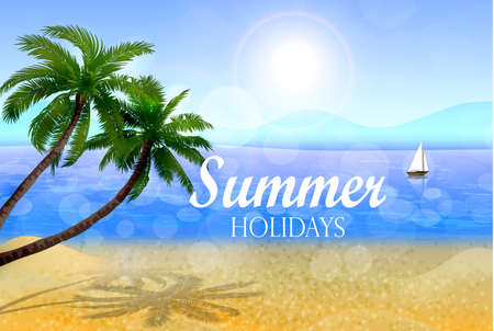 Seaside with palms and a beachの写真素材