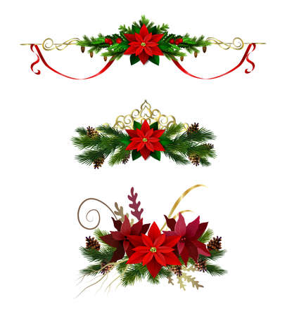Christmas decoration set with evergreen treess pine cones and poinsettia isolated vectorのイラスト素材