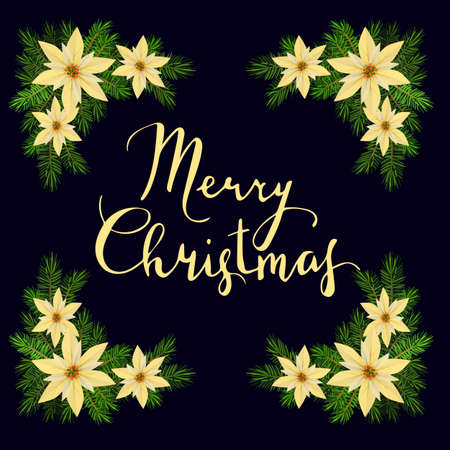 Vector. Christmas decoration with evergreen and poinsettia frame and Christmas lettering Merry Christmas for greetingsのイラスト素材