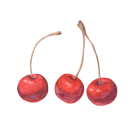 Beautiful watercolor set of illustrations with cherries