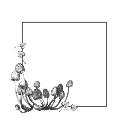 Graphic frame with small mushrooms in sketch styleの写真素材