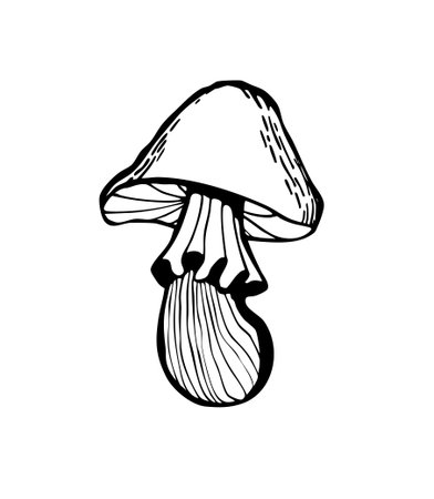 Vector illustration of a magic mushroomのイラスト素材