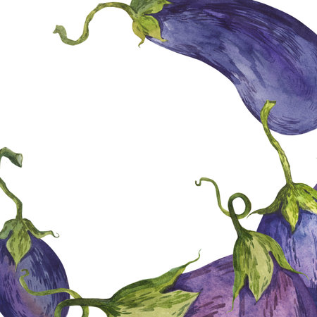A frame of hand-painted watercolor eggplant illustrationsの写真素材