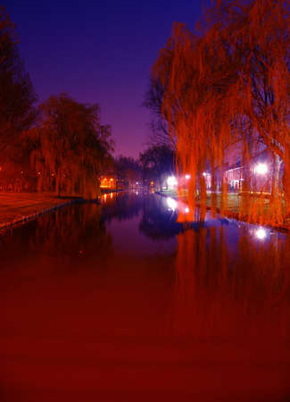 violet skyの写真素材