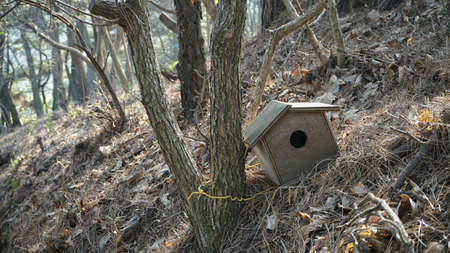 Bird house in Busan, Koreaの写真素材
