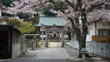 Shrine in Japanのeditorial素材