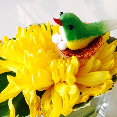 Bird greenの素材