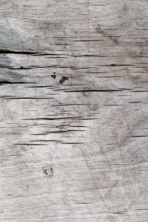 Old wood texture background. Cracks light grey shabby natural backdrop. Copy space concept.の写真素材