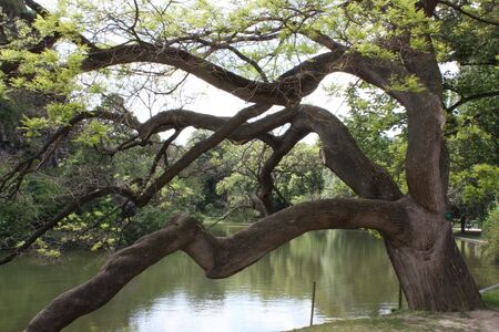 Butte Chaumont park in Paris