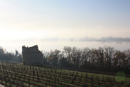 Bordeaux Countryside