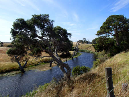 Australian farmの写真素材