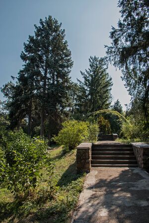 Park with a walking track, a place for recreation and travelの写真素材