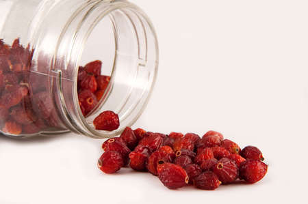 rose-hip in potの写真素材