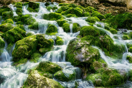 River flows through the moss and stones