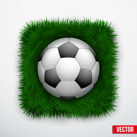 Icon soccer leather ball in green grass. Vector Illustration.のイラスト素材