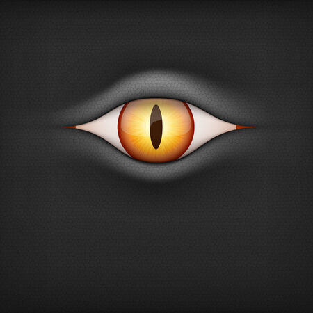 Black Background with brown animal eye  Vector Illustrationisolated on white background のイラスト素材