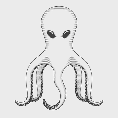 Symbol of octopus in the style of engraving. Simple graphic Vector illustration.のイラスト素材